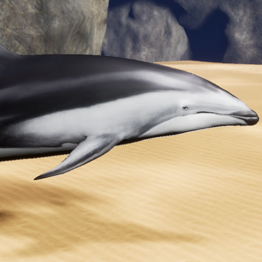 Happy Dolphin Simulator Download on Windows