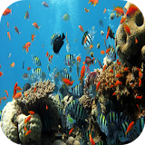 Underwater 3D Live Wallpaper icon