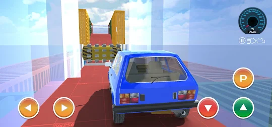 RCCS: Real Car Crash Simulator