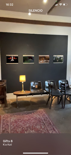 Exhibitarea Screen 2