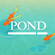 Pond - Save the little carp