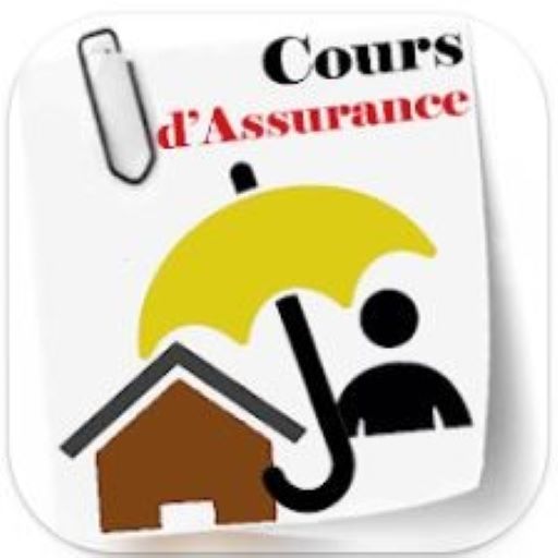 Cours d Assurance logo