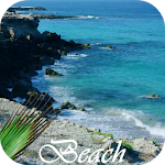 Cover Image of Descargar Beach Video Live Wallpaper  APK
