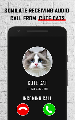 Android application Cat fake video call prank screenshort
