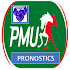 Pronostic pmu pmub, quinté resultat, gain, journal1.1
