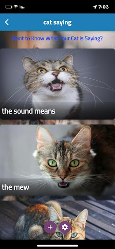 what is my cat saying Screen 2