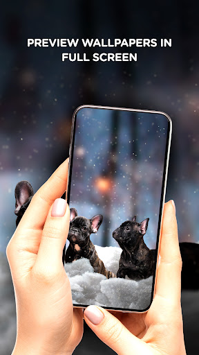 Puppies offline wallpapers