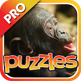 Monkeys Puzzles Pro icon
