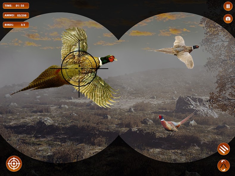 Pheasant Shooter Birds Hunting banner