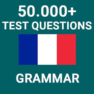 French Grammar Test apk