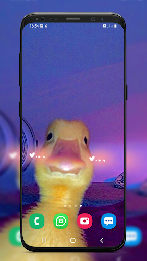 Cool wallpaper Funny & Memes Screen 2