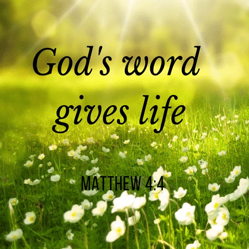 Bible Verses with Picture logo