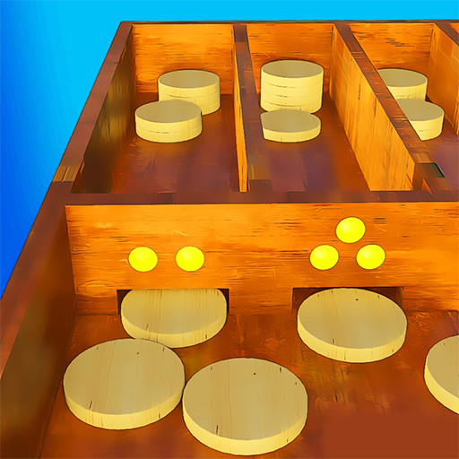custom-shuffle-board-duvall-co