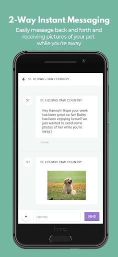Screenshot of St. Hedwig Paw Country