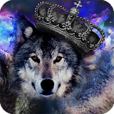 Wolf Animal Live Wallpaper icon