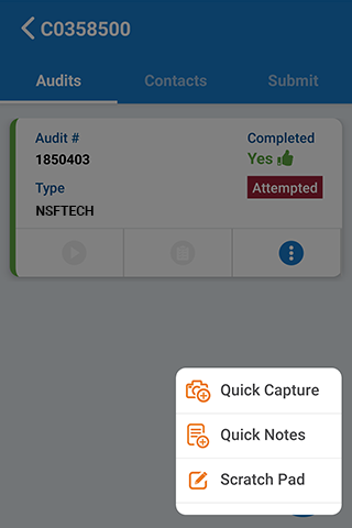 NSF Mobile Audit Screen 2