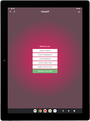 Check IP DNS WHOIS PING