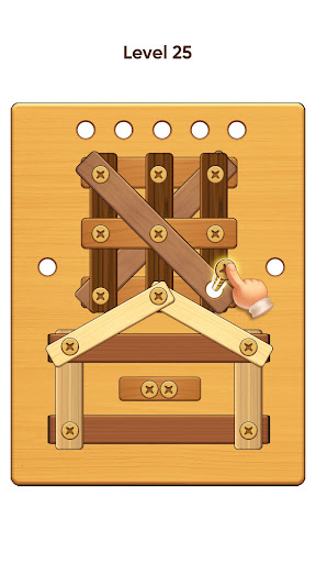 Screw Puzzle Screen 2