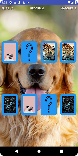 Android application Matching Game Animals screenshort