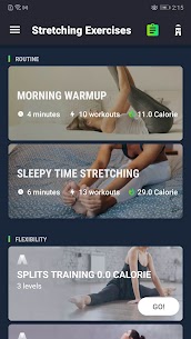 Stretch Exercise – Flexibility 7