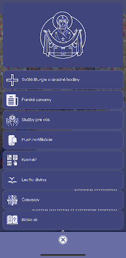 Pokrov Screen 2