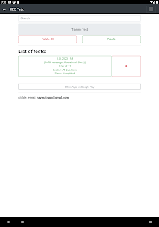 RORO passenger-Operational CES