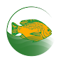 My Fish Manager - Farming app