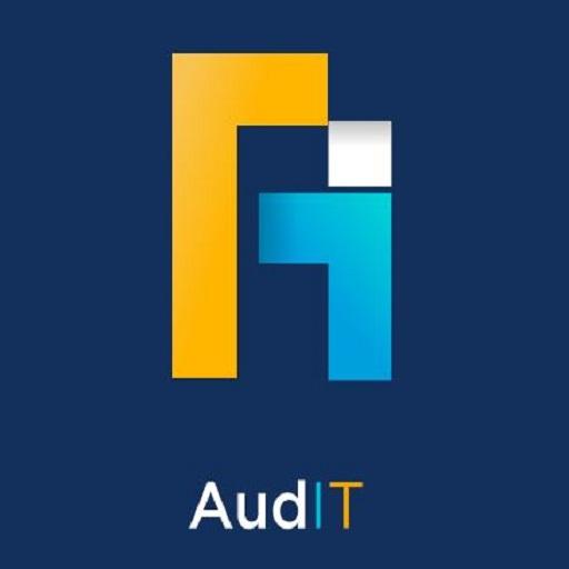 Audit  Icon
