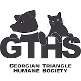 Georgian Triangle H.S icon