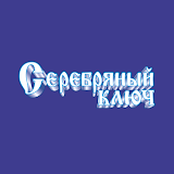 Серебряный ключ Владивосток icon