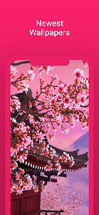 Blossom Cherry Wallpaper