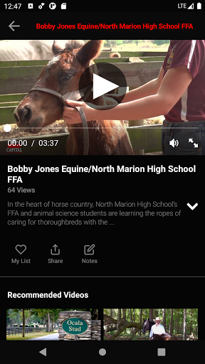 Horse Capital Television Screen 2
