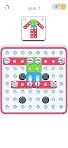 Screw Puzzle