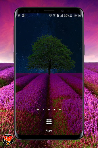 Android application Lavander Field Live Wallpaper screenshort