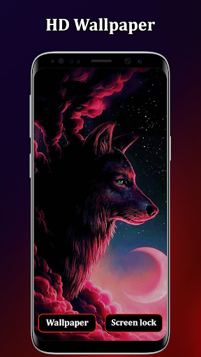 Wolf Wallpapers 4K Background