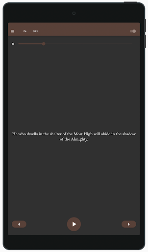 Ruminate Screen 3