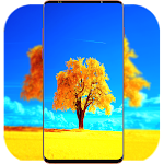 Cover Image of Download Tree Wallpaper 4K  APK