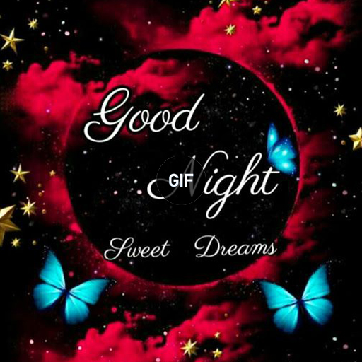 Good Night GIF