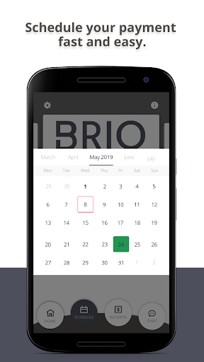 Brio Screen 3
