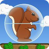 Squirrel Ball icon