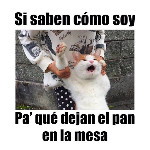 Android application Imagenes chistosas screenshort