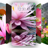 Lotus Wallpapers 4K Lock Screen Pro icon