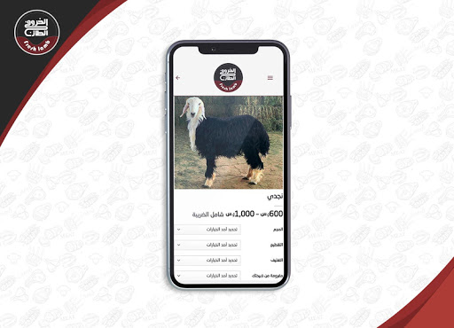 الخروف الطازج Fresh Lamb Screen 3