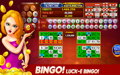 Luck'e Bingo : Video Bingo