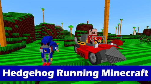 Sonic Hedgehog Minecraft Mod Screen 3