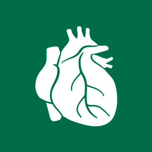 Human Organs Anatomy Reference  Icon