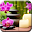 Zen Wallpapers Download on Windows