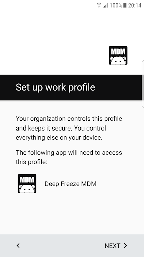 Deep Freeze MDM Screen 2