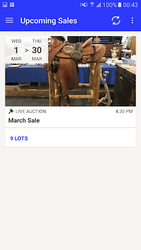 Android application Lightning Auctions screenshort