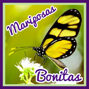 Top 25 Entertainment Apps Like Mariposas Bonitas - imágenes de Mariposas - Best Alternatives
